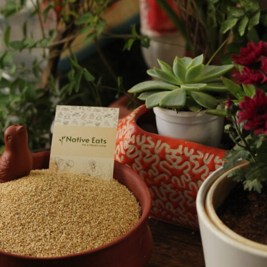 Barnyard Millet/ Sanwa / Udhalu