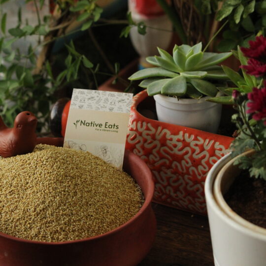 Browntop Millet / Hari Kagni / Andu Korralu