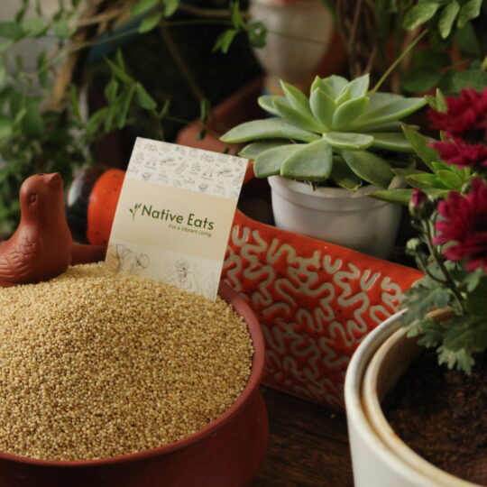 Little Millet / Kutki / Samalu