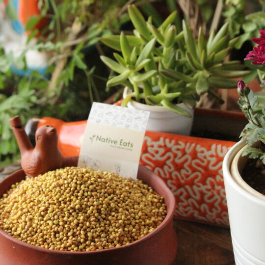 Yellow Sorghum/Jowar/Pacha Jonnalu