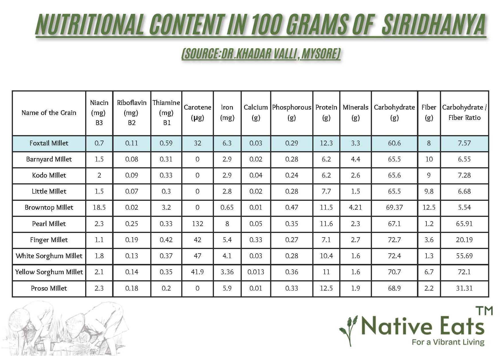 Foxtail Millet / Kakum / Korralu - Image 2